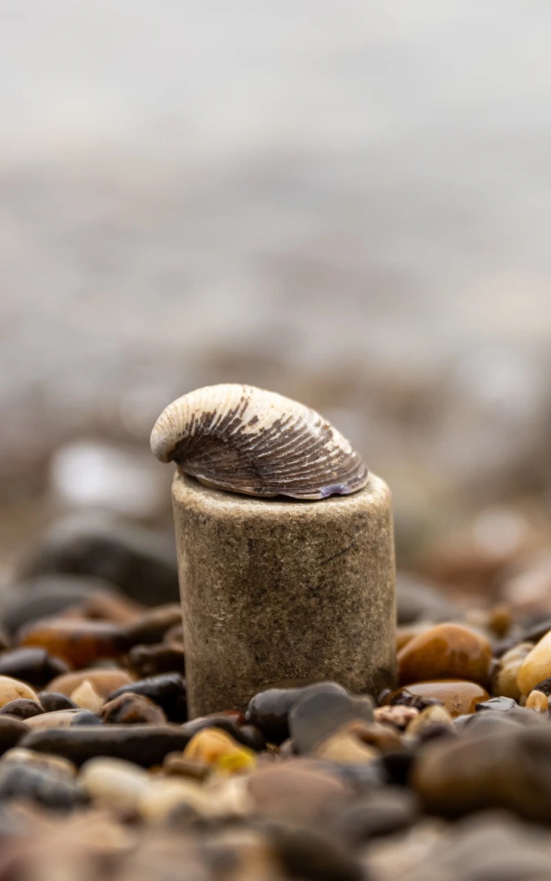 Generative Engine Optimization (GEO): Get your content chosen by AI