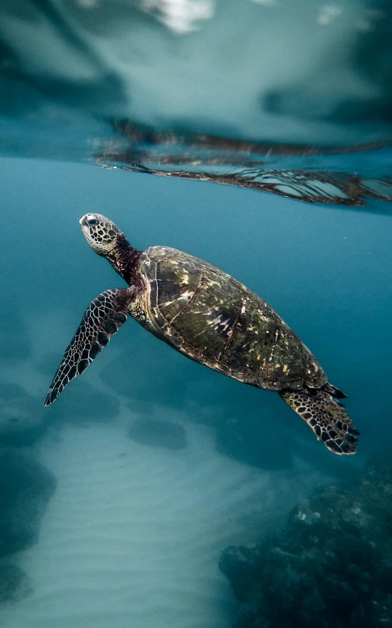 B2B marketing in 2026: what is actually changing and what is not